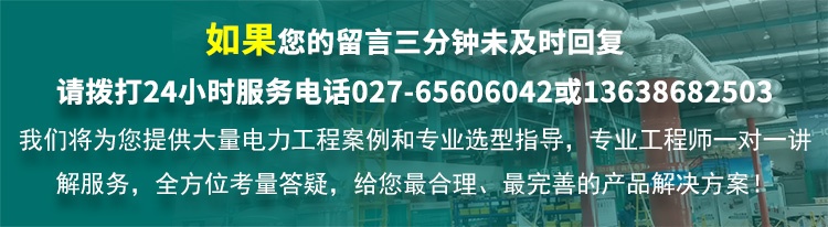 CYP-311PCA SF6氣體質量分析儀（純度、空氣、CF4）